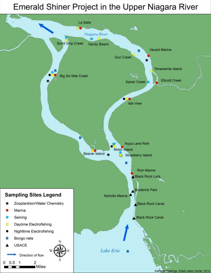 map depicting the Niagara River with sampling sites marked. Title: Emerald Shiner Project in the Upper Niagara River